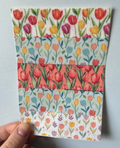 Mixed Tulips Tubie Tape
