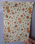 Fox And Hedgehog Tubie Tape