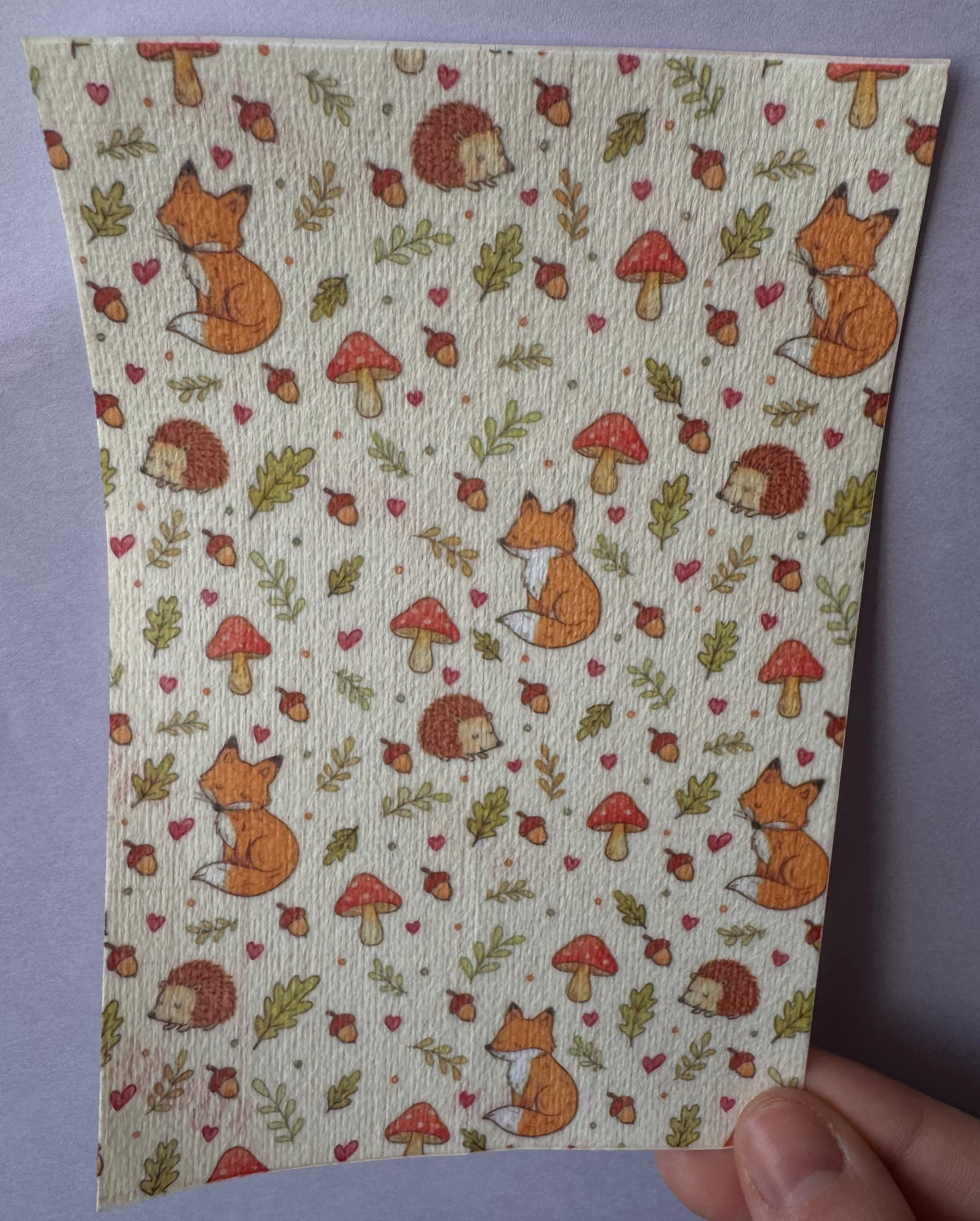 Fox And Hedgehog Tubie Tape