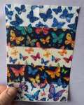 Mixed Butterflies Tubie Tape