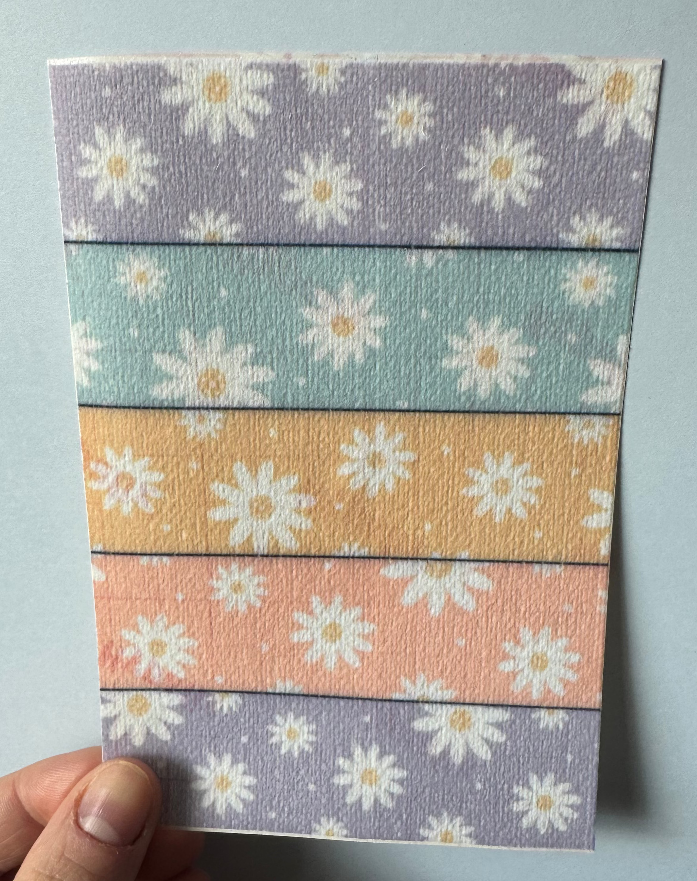 Large Mixed Daises Tubie Tape