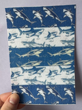 Mixed Sharks Tubie Tape