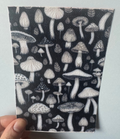 Black And White Mushrooms Tubie Tape