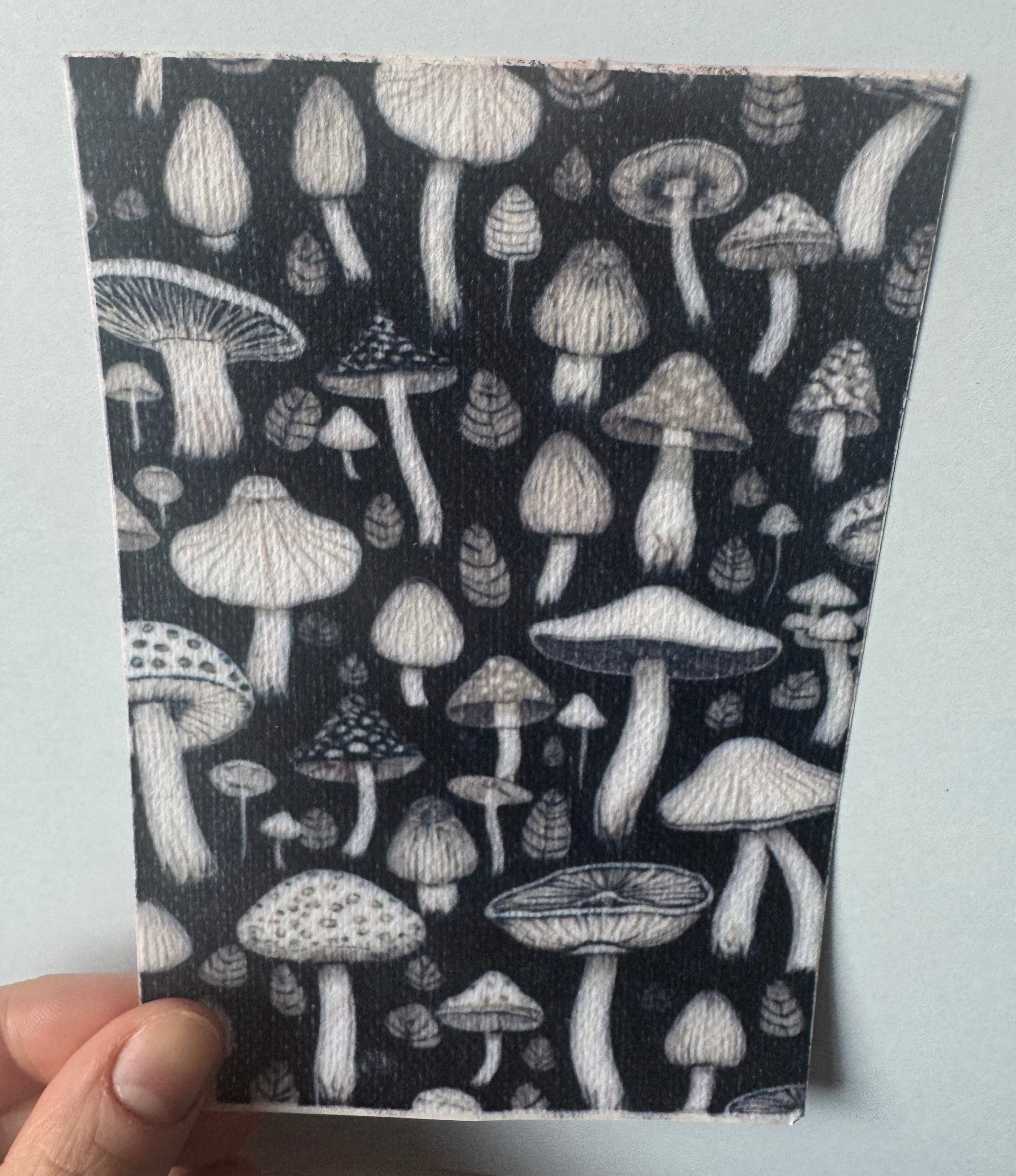 Black And White Mushrooms Tubie Tape